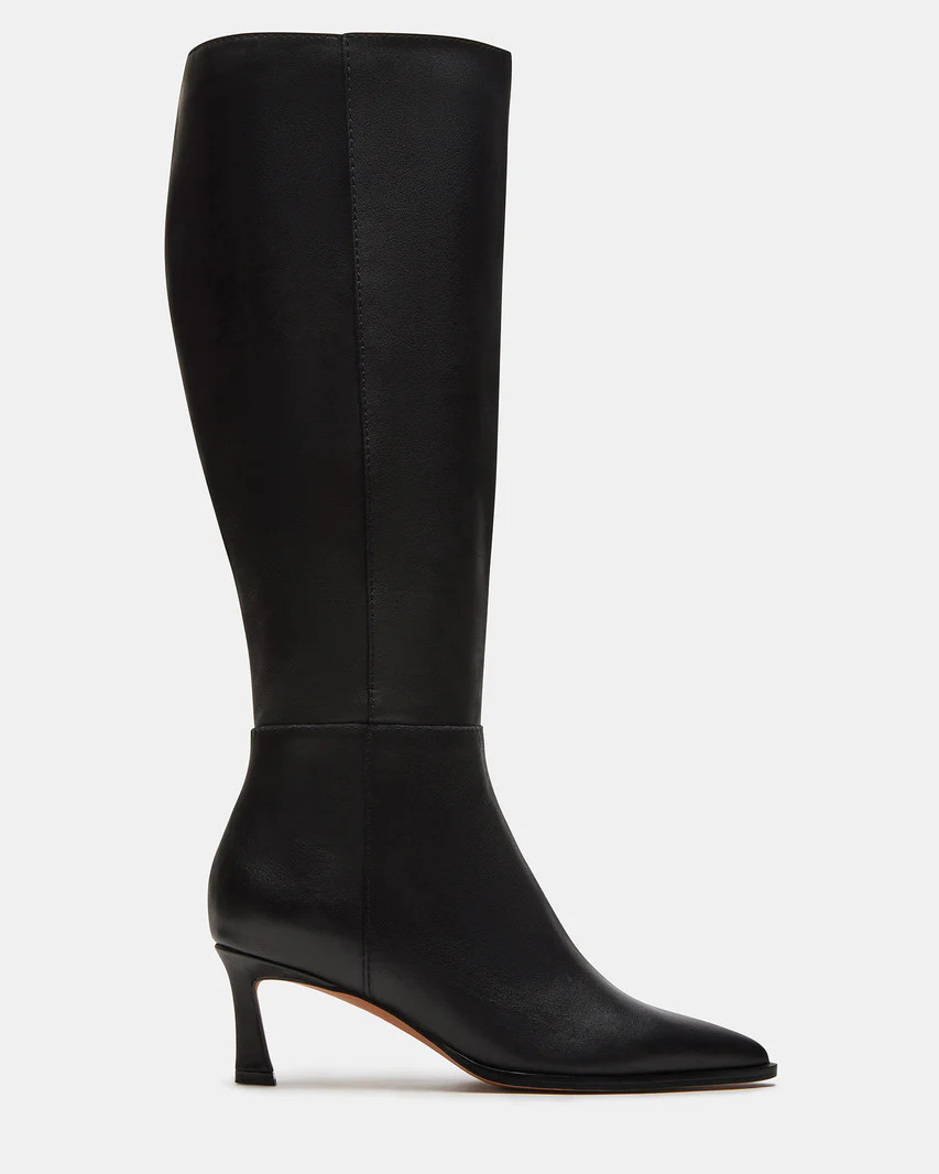 LUCID Black Leather Pointed Toe Kitten Heel Boot | Women's Boots | Steve Madden (US)