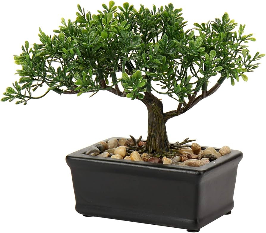 Artificial Bonsai Tree Juniper Faux Plants Indoor Small Fake Plants Decor with Ceramic Pots for H... | Amazon (US)