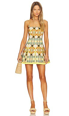 Cruz Dress
                    
                    Alexis | Revolve Clothing (Global)