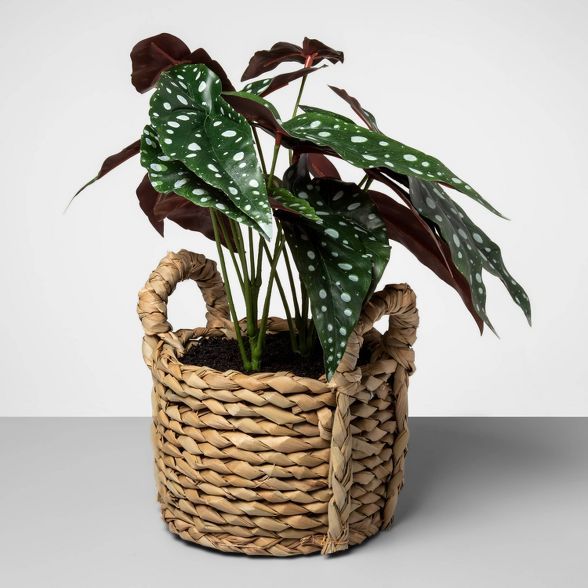 17" x 15.5" Artificial Dotted Begonia Plant in Basket Green/Natural - Opalhouse™ | Target
