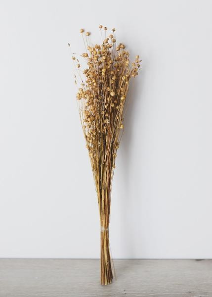 Dried Flax Grass | Afloral (US)