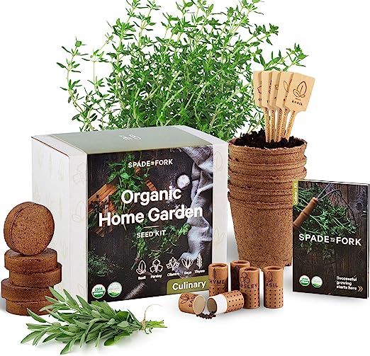 Indoor Herb Garden Starter Kit - Certified USDA Organic Non GMO - 5 Herb Seed Basil, Cilantro, Pa... | Amazon (US)