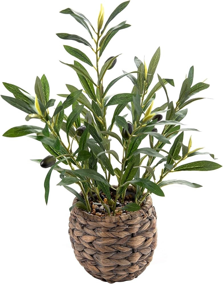 17" Fake Olive Plant in Handwoven Basket for Home Desk Decor | Amazon (US)