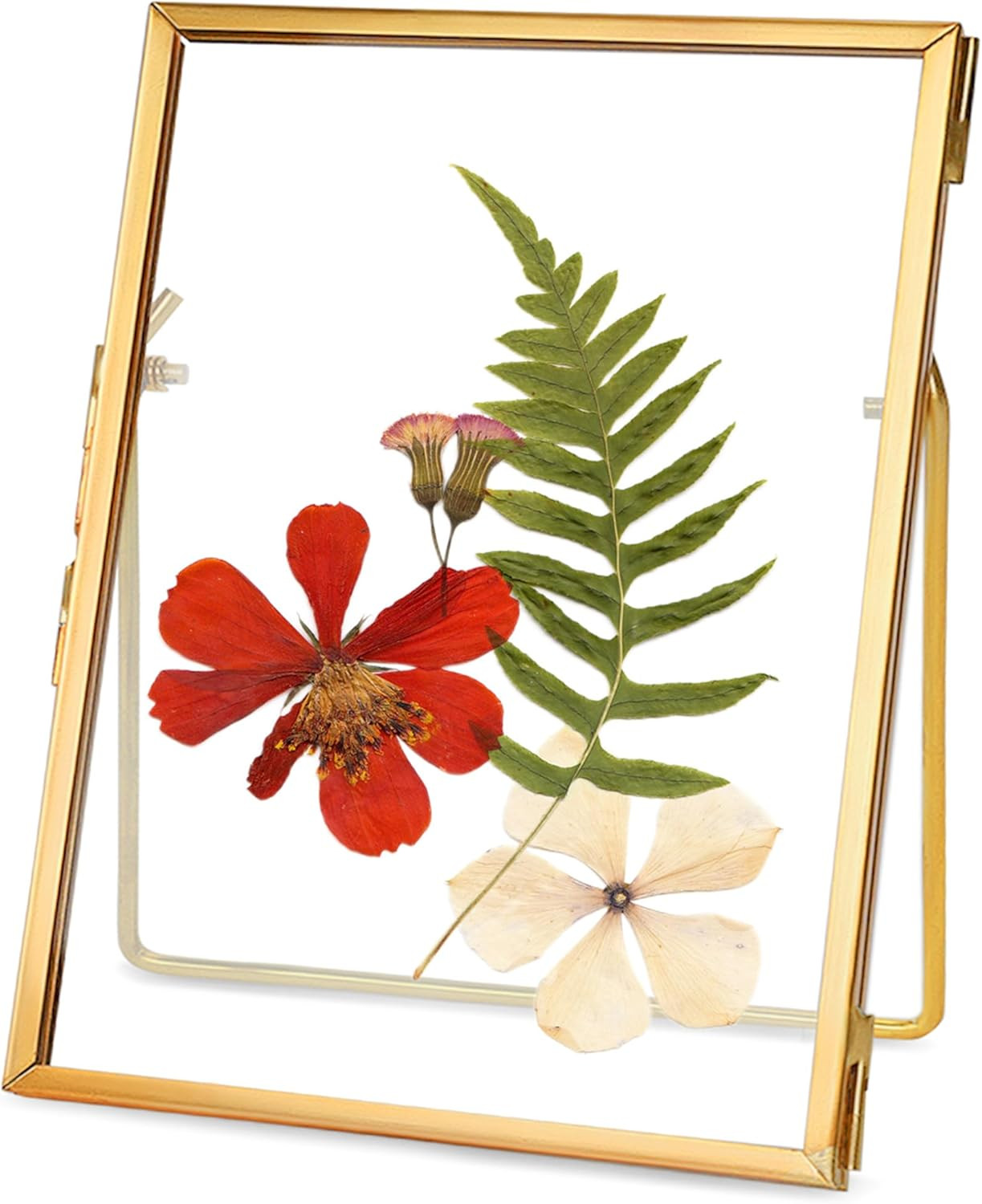 Glass Pressed Flower Frame Handmade, Floating Picture Frames for Pressed Flowers, Tabletop Artwor... | Amazon (US)