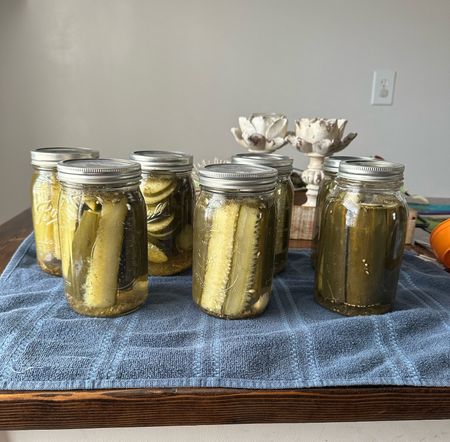 Seriously, if new to canning, pickles are the way to go! Or cucumber seeds from Johnny Seeds went insane over producing, we had 24 large jars from just 1 weeks worth of  harvesting😳 

#LTKsalealert #LTKSeasonal #LTKhome