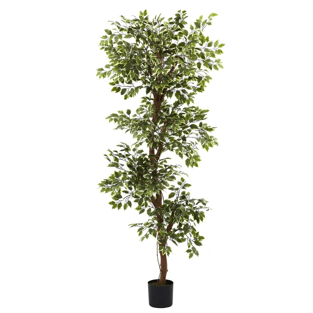 6’ Variegated Ficus Tree | Nearly Natural