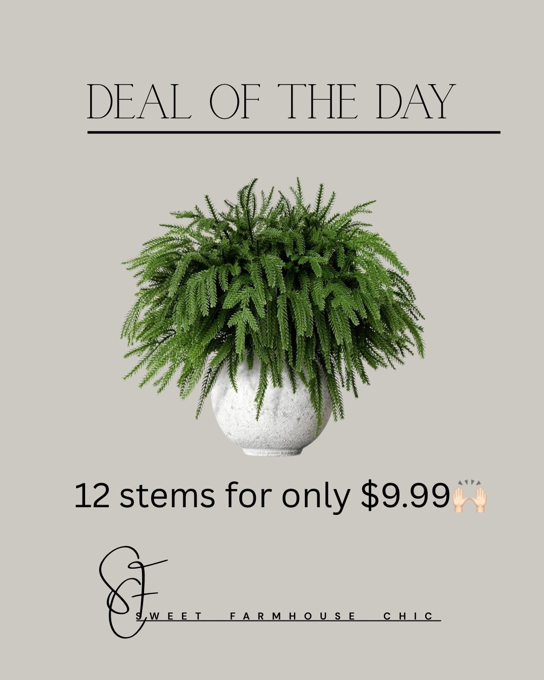 Norfolk Pine Stems

12 Pcs 18 Inch Real Touch Norfolk Pine Stems



#LTKSaleAlert #LTKHome #LTKHoliday