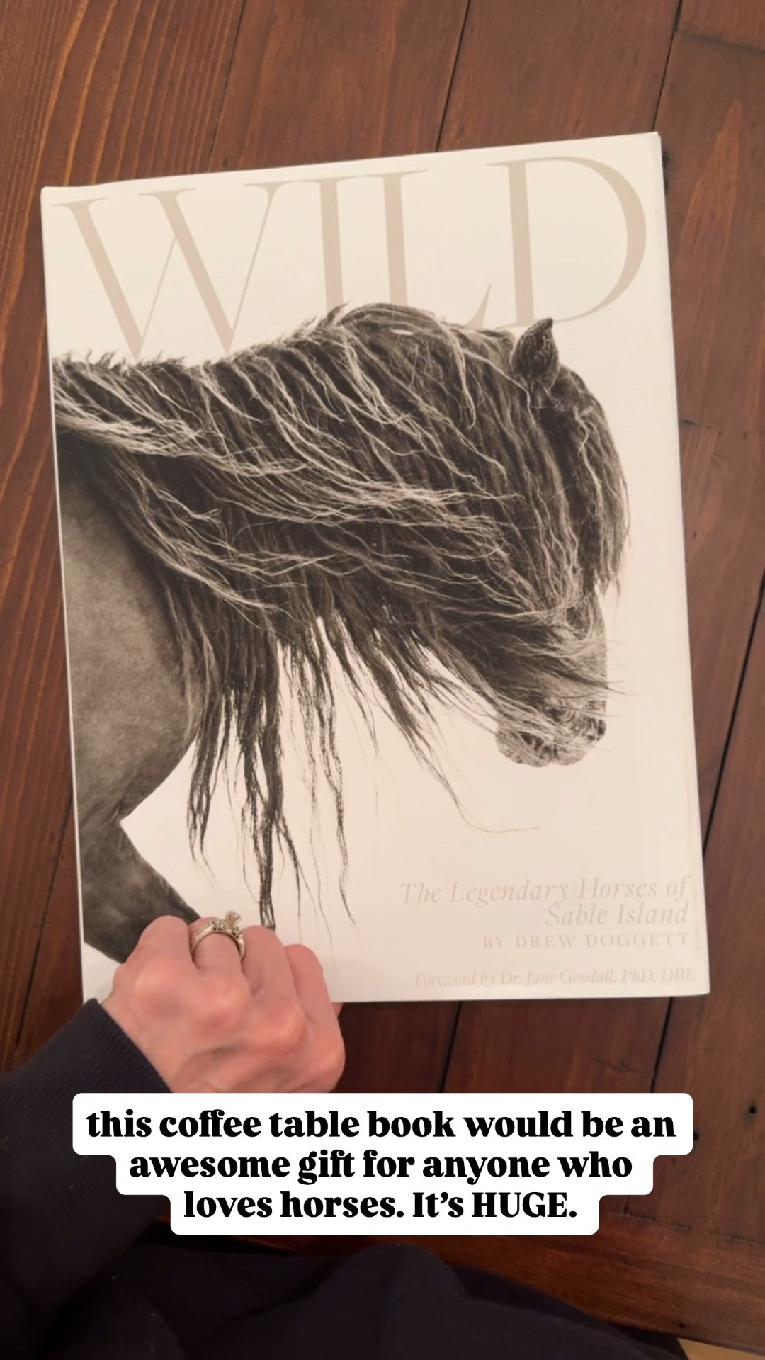 Easy gift ideas for anyone that loves horses! 

#LTKGiftGuide #LTKFindsUnder50 #LTKHoliday