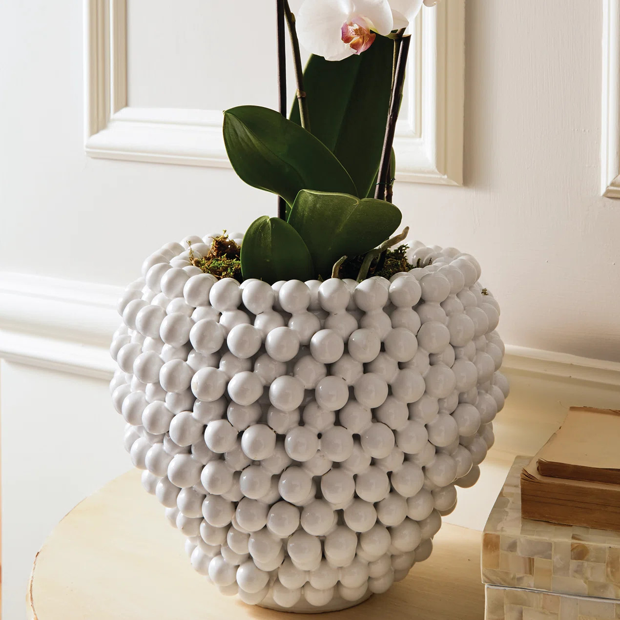 Brayden Studio® Sokolowski Pompom Decorative Ceramic Pot Planter | Wayfair | Wayfair North America