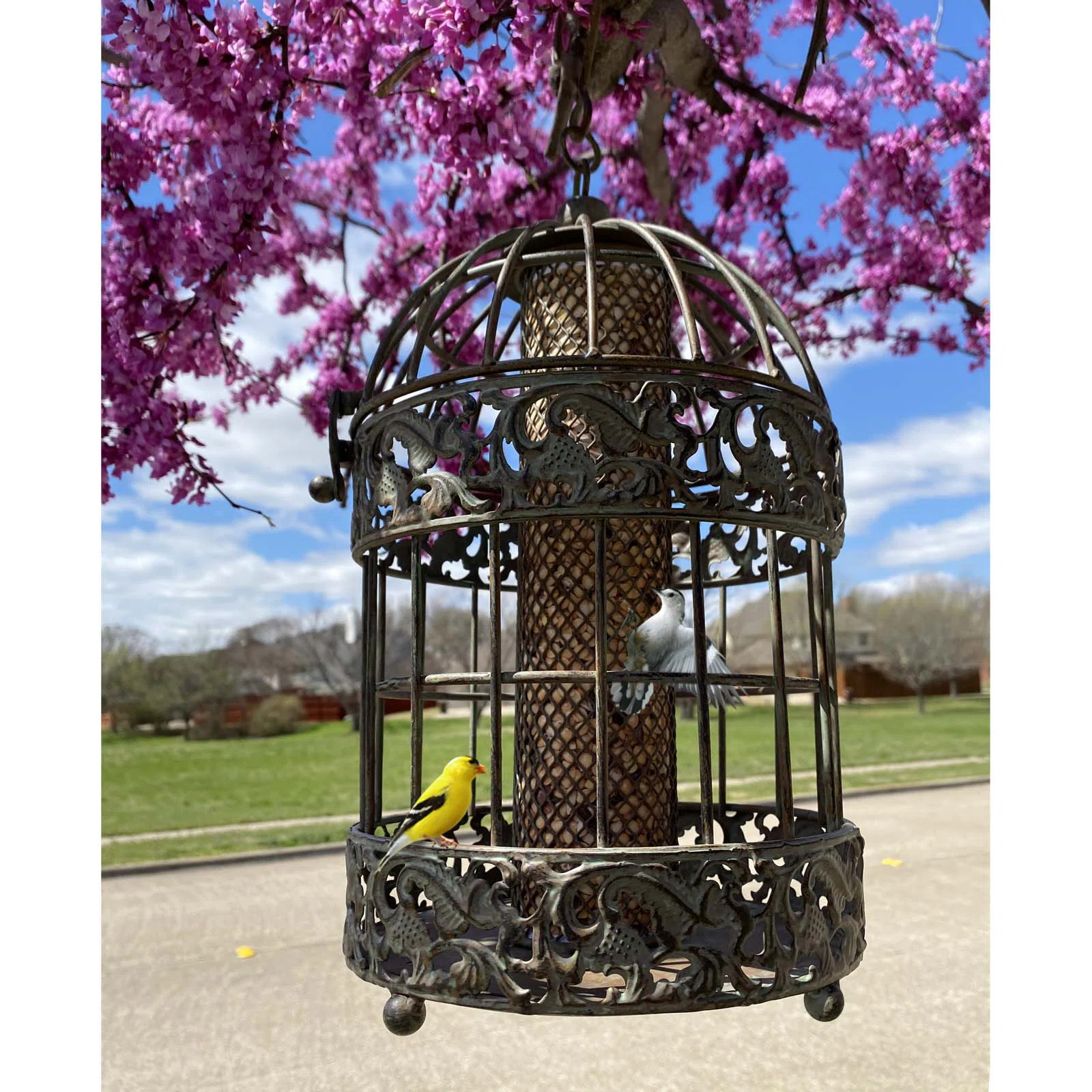 Hartzell Caged Hopper Bird Feeder | Wayfair North America
