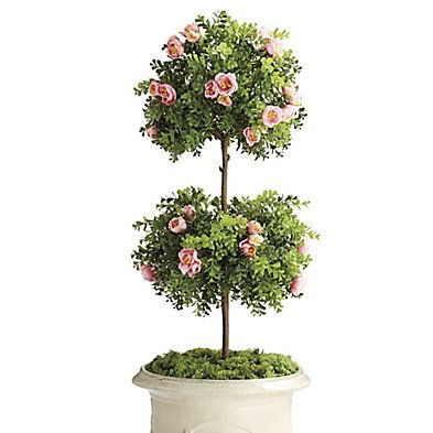 Rose Boxwood Doube Ball Topiary | Frontgate | Frontgate
