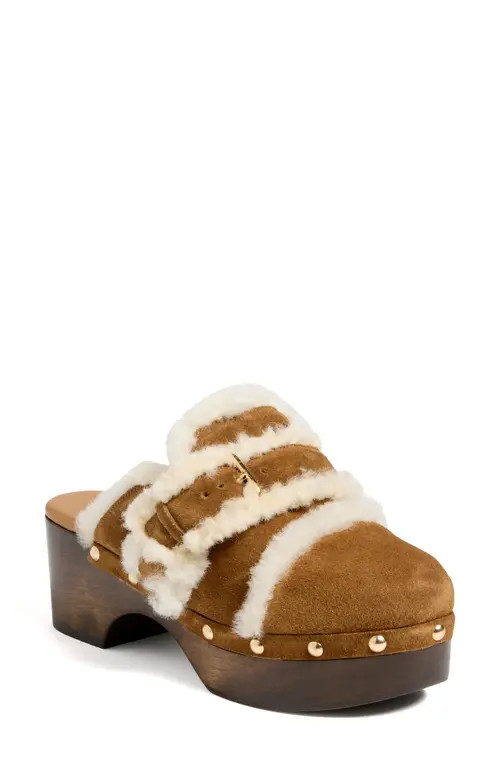 Cinq à Sept Wrenley Genuine Shearling Buckle Clog in Golden Sienna at Nordstrom, Size 11Us | Nordstrom