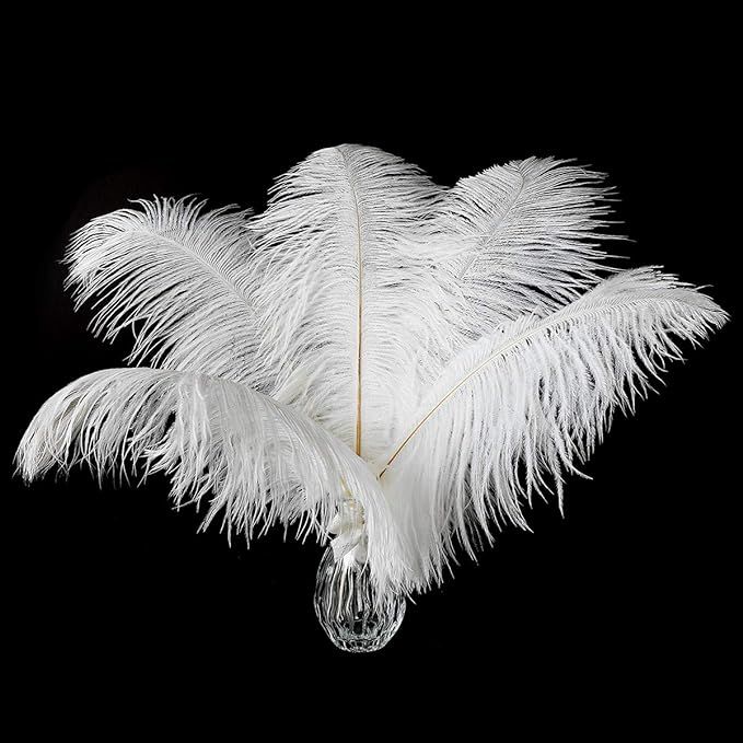 24pcs Natural White Ostrich Feathers 10-12inch (25-30cm) for Wedding Party Centerpieces，Flower ... | Amazon (US)