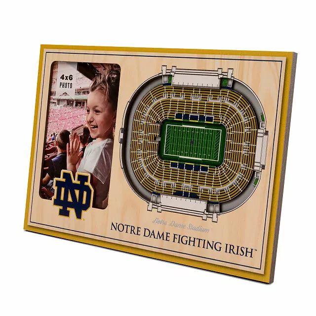 College Stadium-View Picture Frame | UncommonGoods