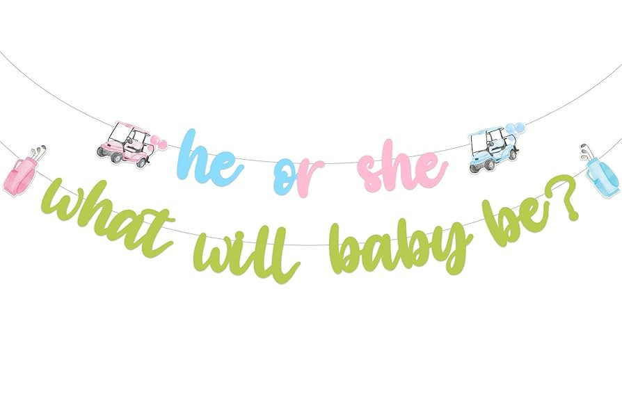 JOYMEMO Golf Gender Reveal Decorations, He Or She What Will Baby Be Banner Pink Blue, Golf Gender... | Amazon (US)