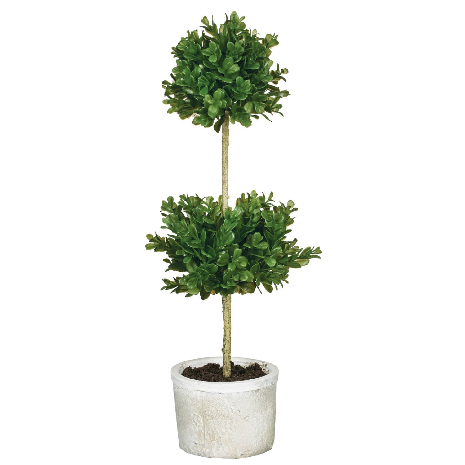 Double Boxwood Topiary | The Nested Fig