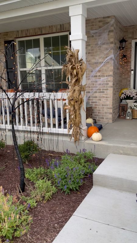 So many little goodies mixed in this Halloween set up but my favorite it the led willow tree and maybe second the bats.  #halloweendecor #halloween #falldecor #fallpatio 

#LTKHoliday #LTKHalloween #LTKSeasonal