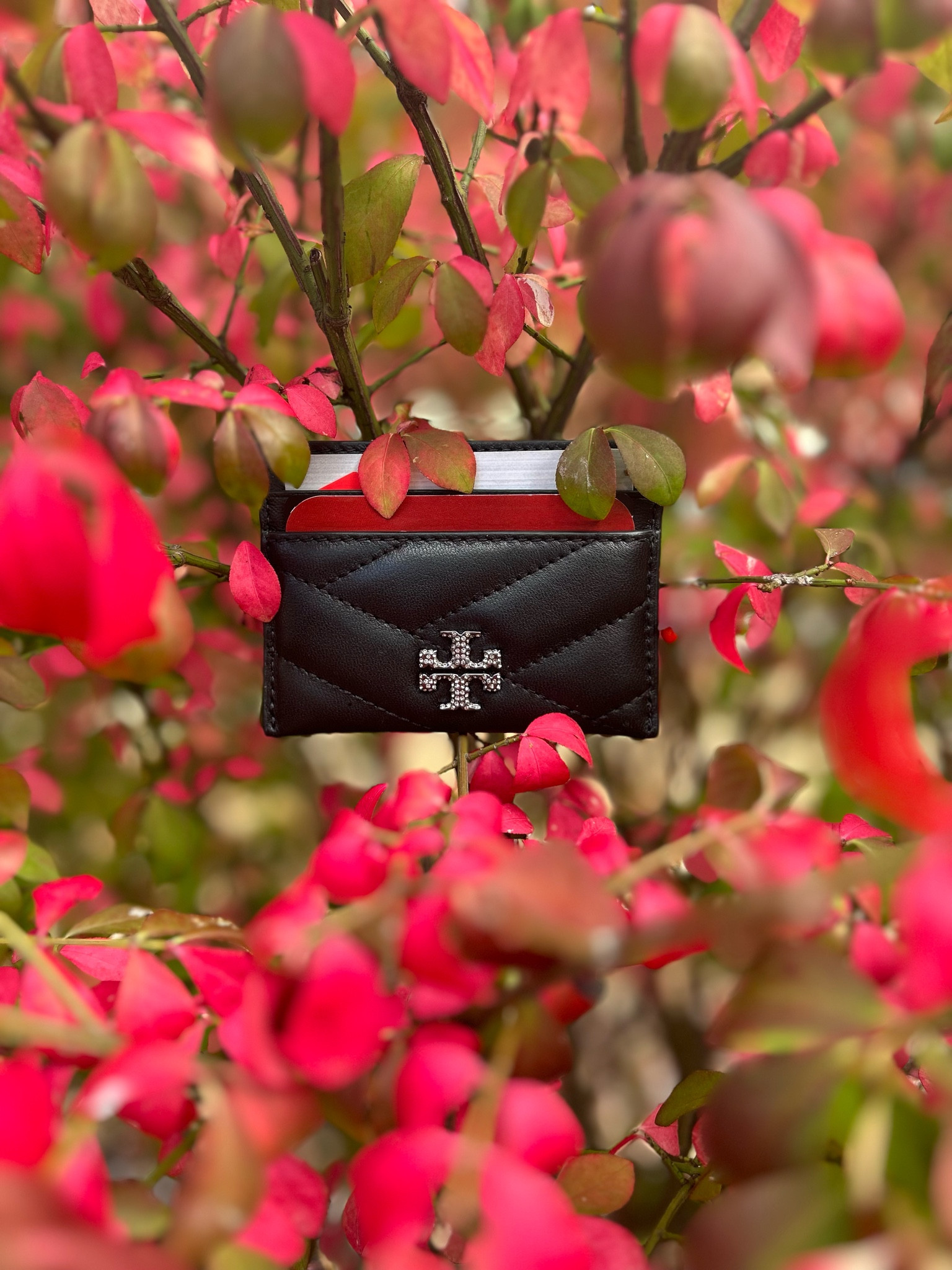 Tory Burch card case

Card holder
Card wallet
Pave logo
Kira Chevron
Leather card case
Gift idea


#LTKfindsunder100 #LTKHoliday #LTKGiftGuide