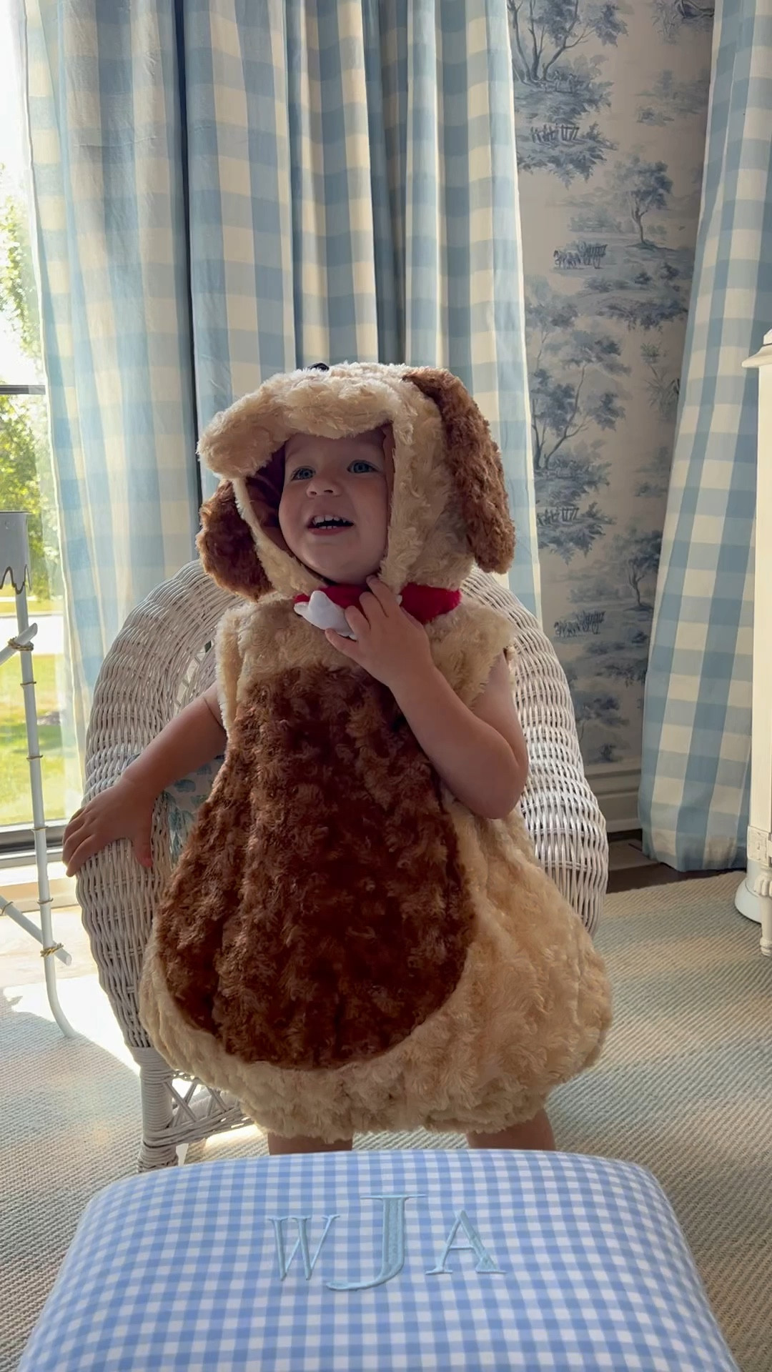 Rounded up the cutest costumes for your whole family all from @walmart! This puppy costume is tooo cute on Will! 

He’s wearing a size Large 2T-4T! 

#walmartpartner #WalmartFinds #IYWYK @walmart 

#LTKkids #LTKfamily #LTKHalloween