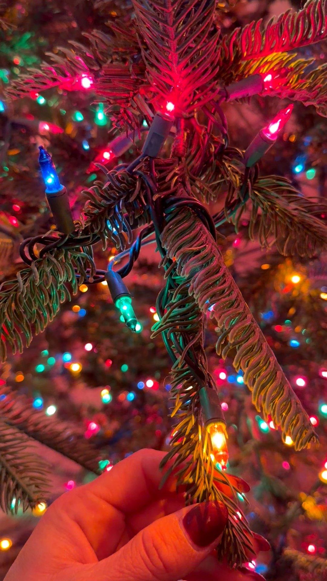 These Warm nostalgic multicolor mini  Christmas lights from Walmart are giving me all the vintage vibes! 

#LTKSeasonal #LTKHoliday