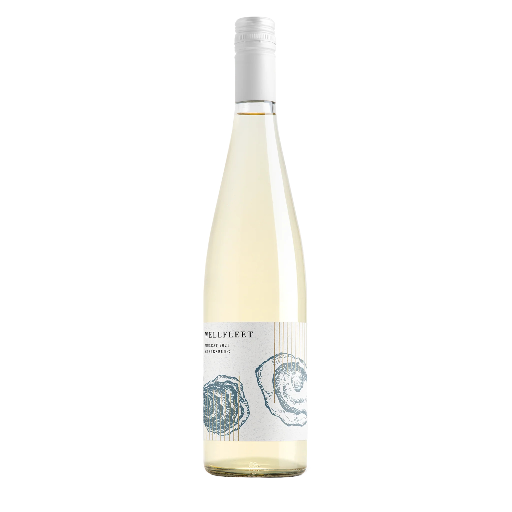 2021 Wellfleet Muscat | Winc