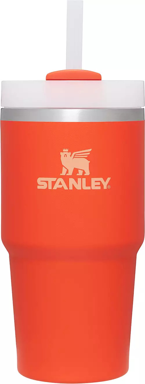 Stanley 20 oz. Quencher H2.0 FlowState Tumbler | Dick's Sporting Goods