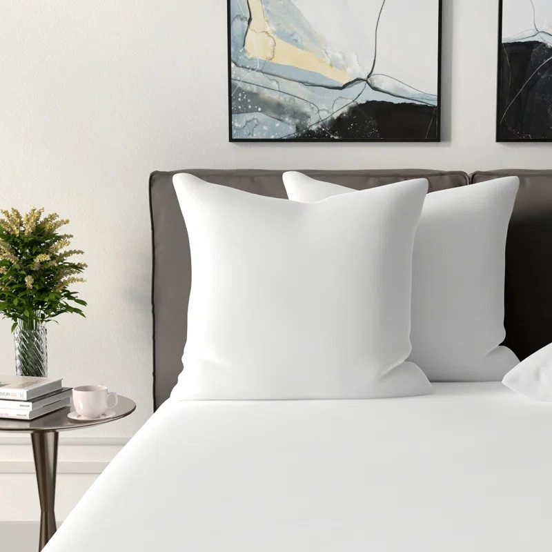 Fiber Filled 27 in x 27 in Euro Square Pillow Insert | Wayfair North America