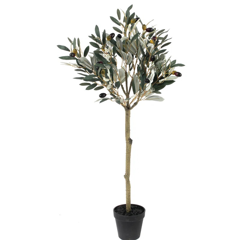 Leaf Topiary Olive Tree in Pot | Wayfair North America