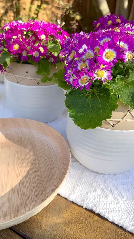 LOVE these planters and outdoor dish set. The table runner is gorgeous too! #planter #walmarthome #patiodecor #neutral decor #modernpatio #modernorganic. Modern organic. Patio decor. Walmart decor  

#LTKhome #LTKunder100 #LTKunder50