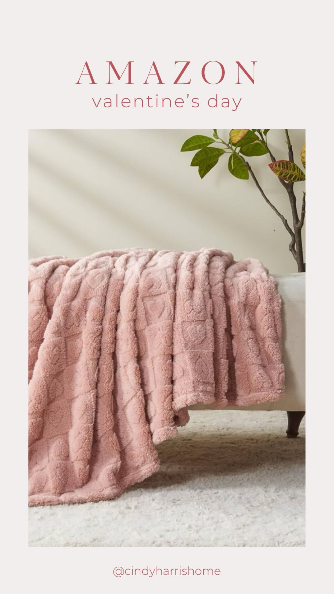 Cozy Valentine’s Day finds 🤍

#LTKHome #LTKSeasonal