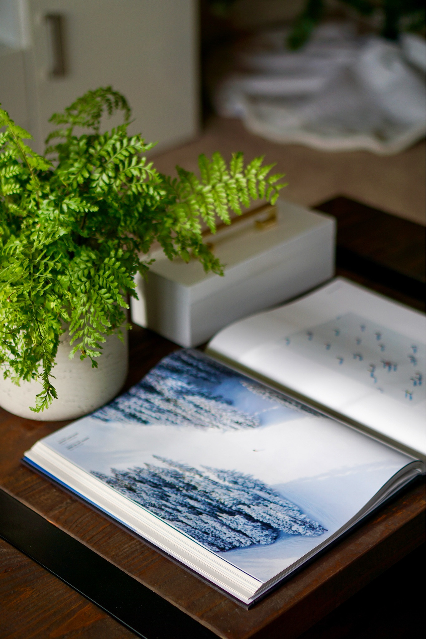 Holiday gifts for her - Book gifts for women - Coffee table books - Home decor gifts - Christmas gift guide 

#LTKHoliday #LTKhome #LTKGiftGuide