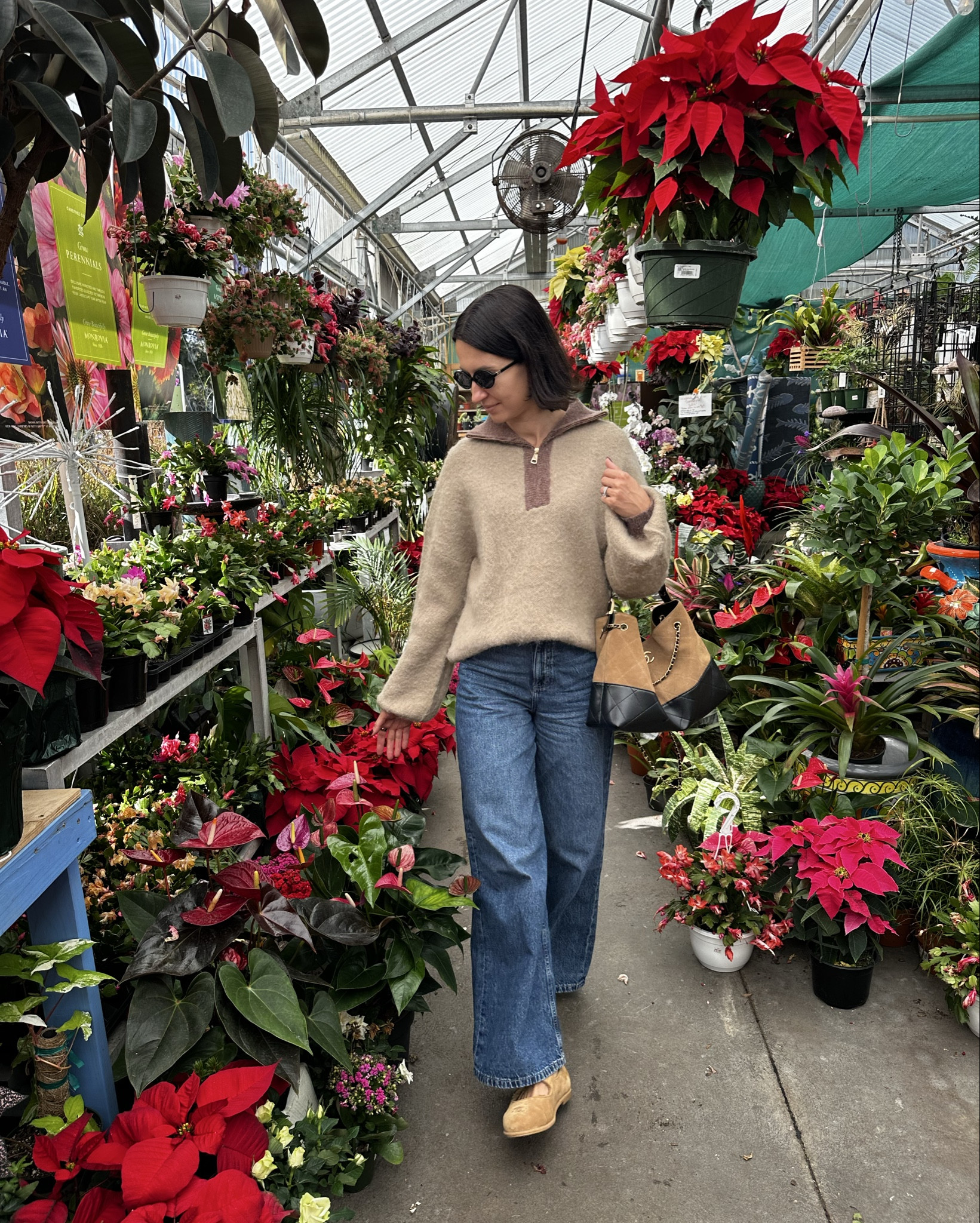 Walking my new sweater.
He’s the main character today. 💁‍♀️🧶

#LTKU #LTKootd #LTKSeasonal