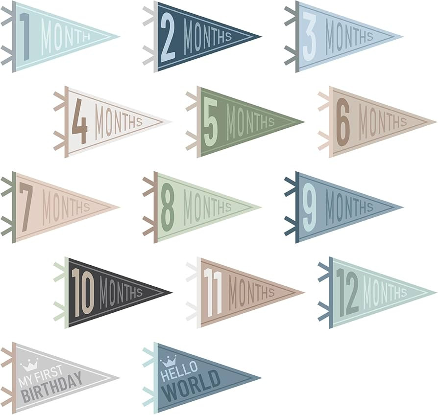 VitalCozy 14 Pcs Baby Milestone Pennant Signs Monthly Milestone Banner Flags Pennant Triangle Ban... | Amazon (US)
