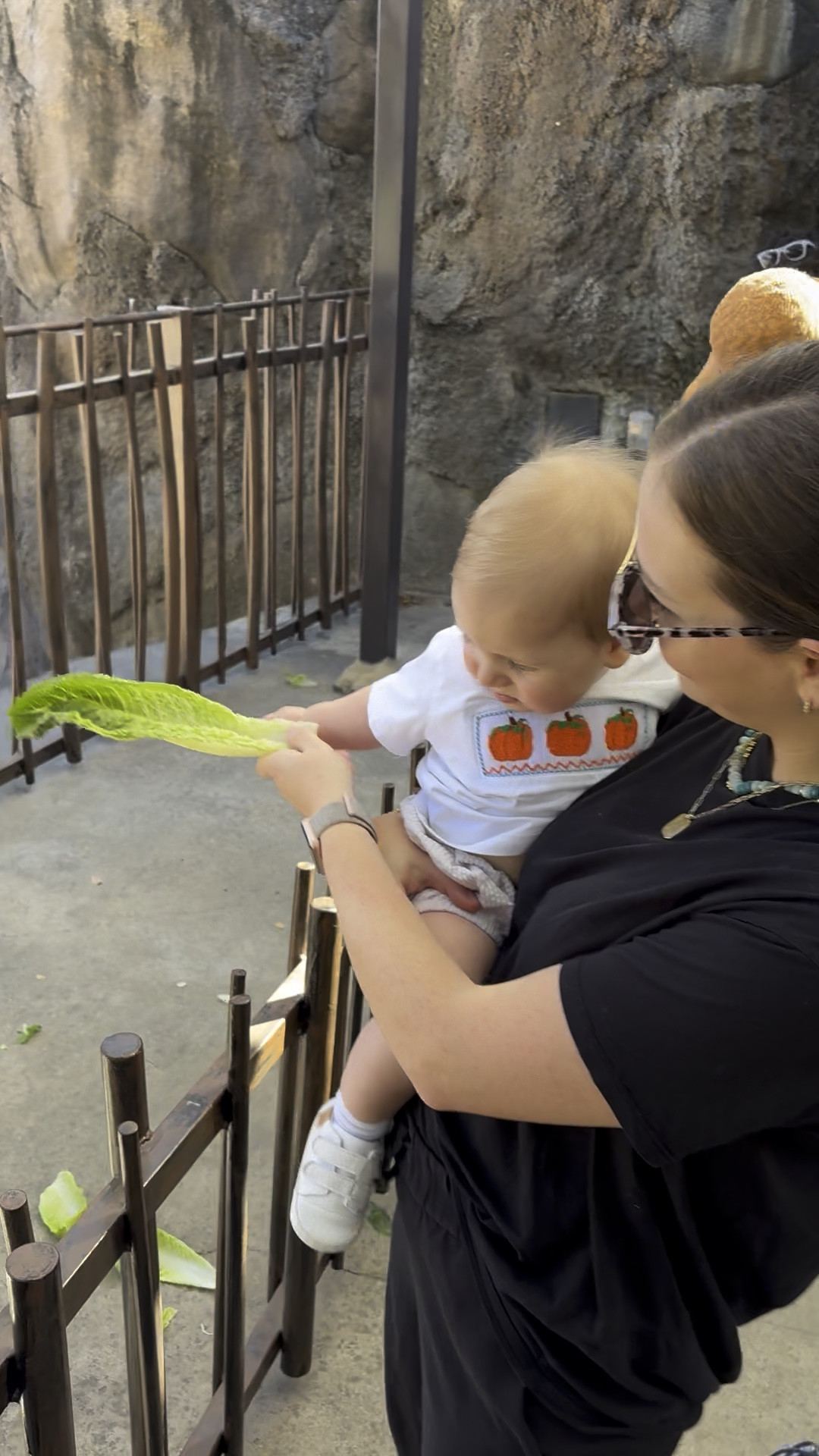 Zoo boo outfits🧡

#LTKSeasonal #LTKBaby #LTKActive