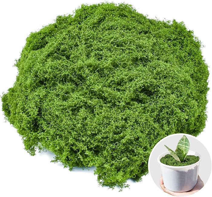 Fake Green Moss for Crafts 7 Oz Decorative Artificial Moss for Crafts Decorative Faux Moss Table ... | Amazon (US)