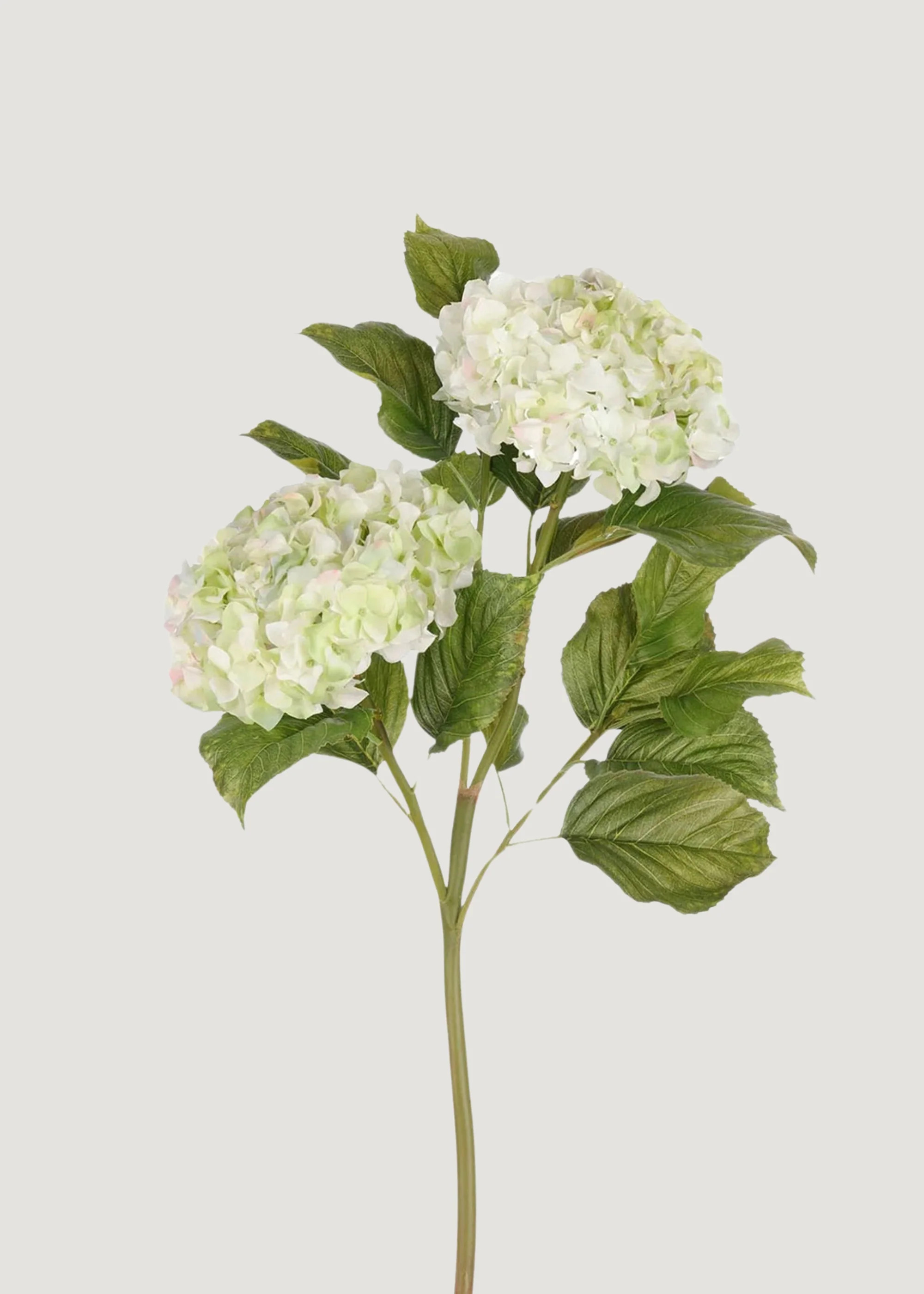 Cream Green Hydrangea Branch | Artificial Flowers at Afloral | Afloral