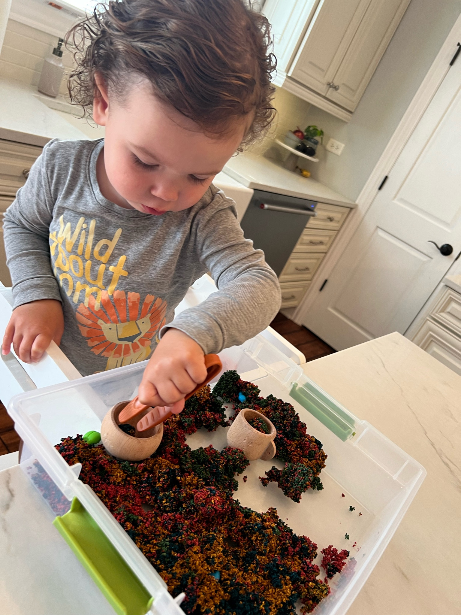 This little sensory bin has been a hit this week - 


Organic, sensory bin, amazon find, bug sensory bin, toddler toys, toddler idea, Amazon


#LTKfamily #LTKkids #LTKunder50