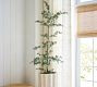 Faux Black Olive Tree | Pottery Barn (US)