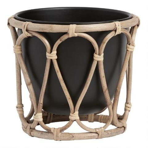 Black Metal Tabletop Planter with Rattan Cane Stand | World Market