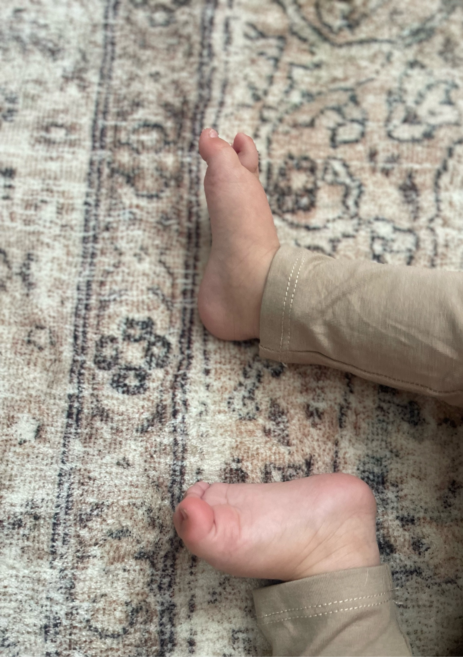 Rug on sale for 52% off today! Super soft cloudpile

#LTKSale #LTKsalealert #LTKhome