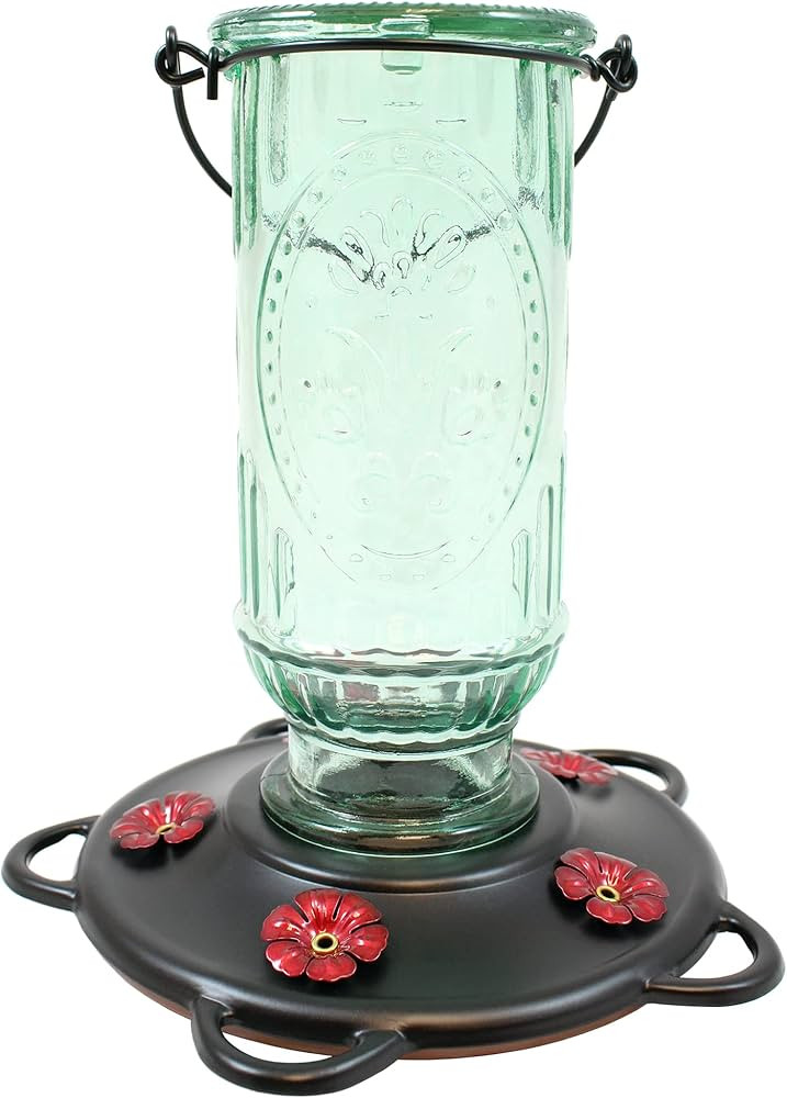 More Birds Vintage Hummingbird Feeder, Antique Glass Hummingbird Feeders for Outdoors, 5 Feeding ... | Amazon (US)