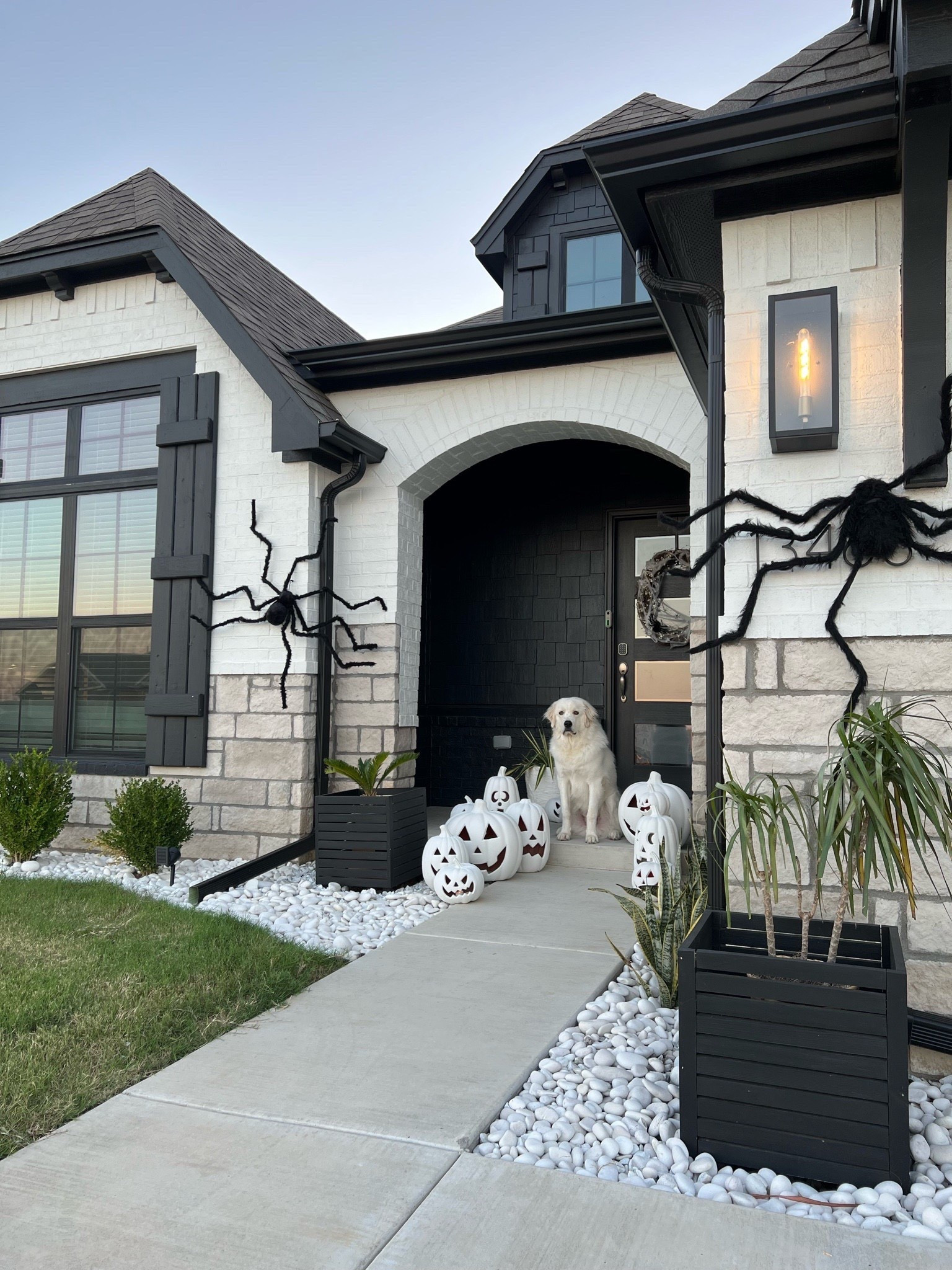 Modern Halloween Porch Styling 🎃🕷️
Minimal meets spooky with this modern black-and-white Halloween porch. Matte pumpkins, oversized spiders, and layered textures create a festive look that still feels elevated and cohesive with the home’s exterior. Proof that Halloween decor can be chic and a little eerie — especially when you’re a disappear-enees. 👻🖤

✨ Styling tip: Stick to one color palette (like black + white) and repeat textures for a clean, cohesive Halloween look.

Shop the look ↓
Target | Amazon | At Home | Michaels | HomeGoods | Studio McGee | CB2

#ModernHalloweenDecor #HalloweenPorch #NeutralHalloween #OutdoorStyling #FallPorchDecor #ModernHomeExterior #SpookySeasonStyle #BlackAndWhiteDecor #HalloweenInspo #FrontPorchGoals #HomeStyling #LTKHome #LTKFallDecor

#LTKSeasonal #LTKHome #LTKHalloween