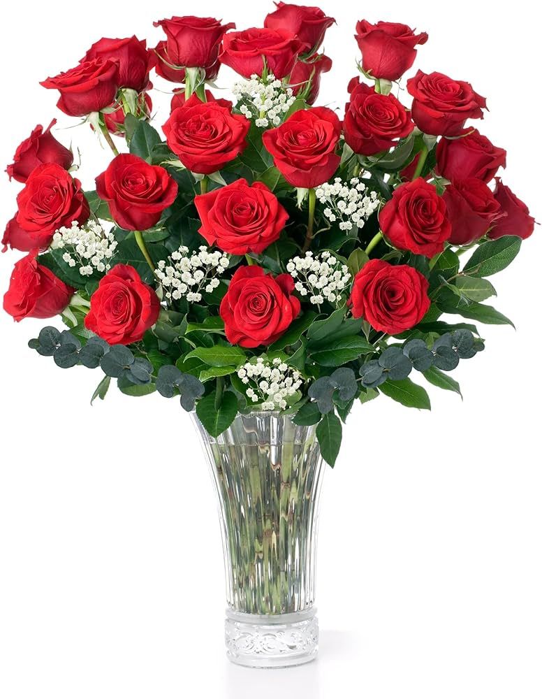 Red Roses Fresh Flowers Delivery - 2 Dozen Fresh Roses Flower Delivery, Fresh Cut Long Stem Roses... | Amazon (US)
