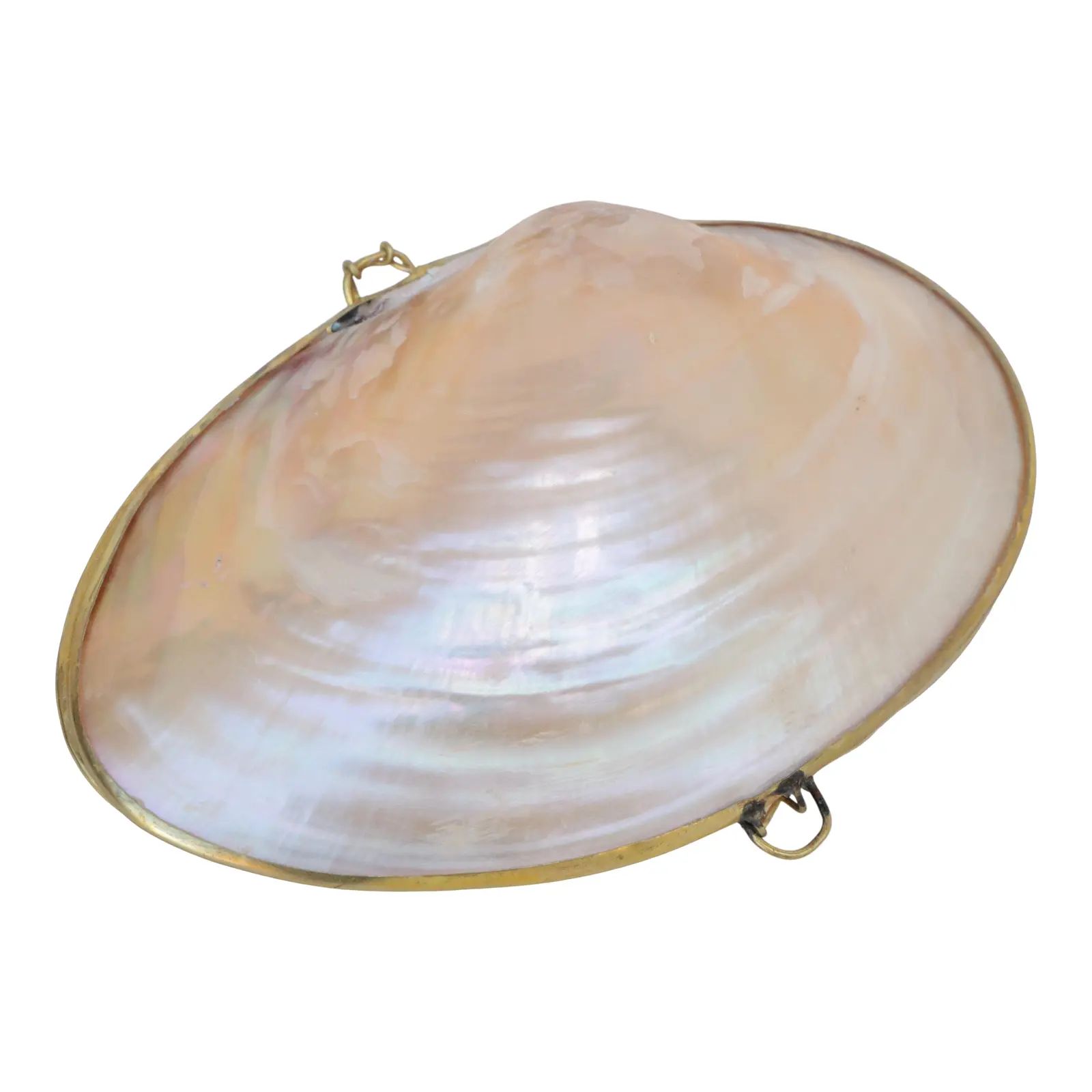 Mother of Pearl Shell Box With Brass Trim | Chairish