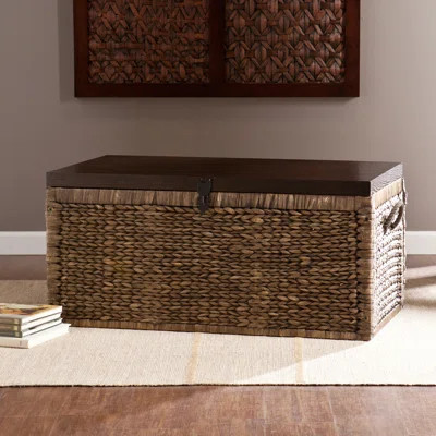 Weyauwega Water Hyacinth Storage Trunk | Wayfair North America