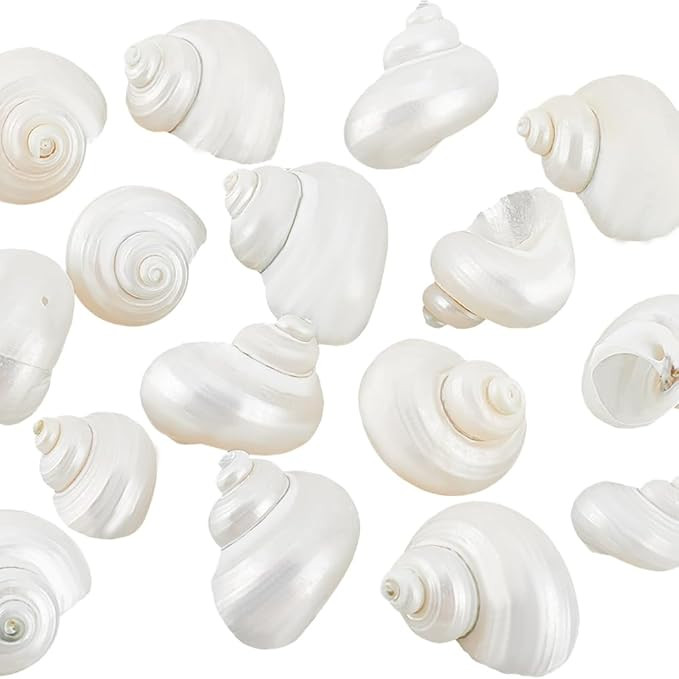 PH PandaHall 16pcs Natural Spiral Shell Beads, 0.8~1.1 Inch Mouth Turbo Seashells Undrilled Hermi... | Amazon (US)
