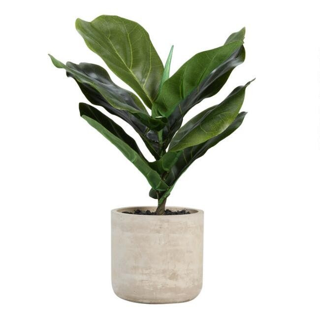 Faux Fiddle Leaf Fig Plant in Cement Pot | World Market