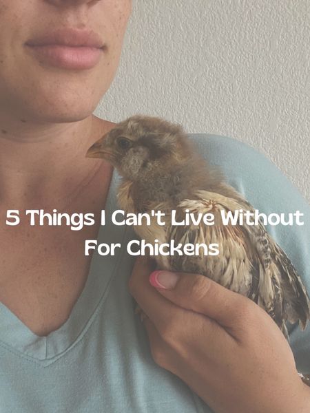 Must-have items for your backyard chicken coop!

#LTKhome