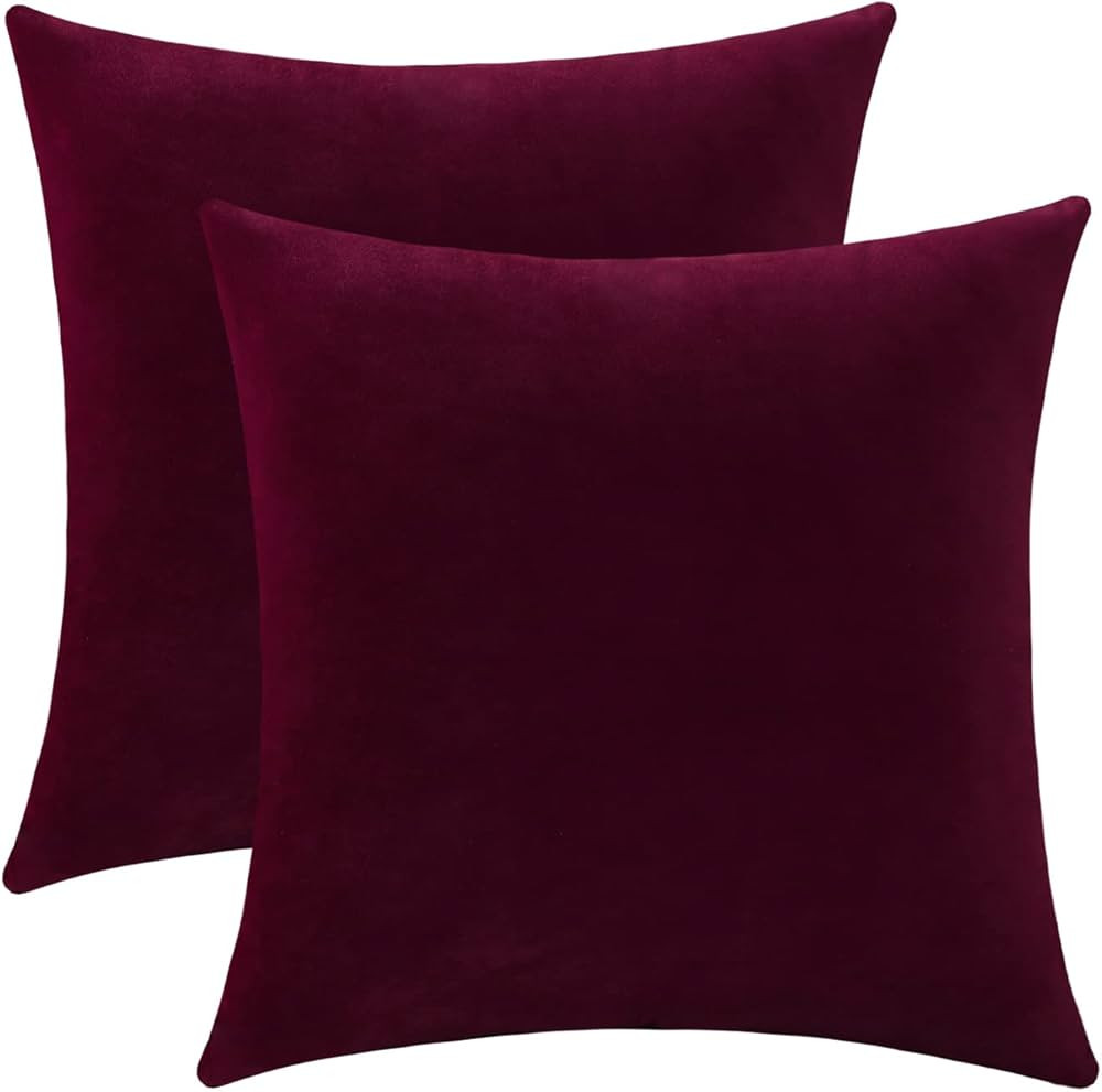 Jeneoo Set of 2 Comfy Soft Thick Velvet Throw Pillow Covers for Sofa Couch Decorative Solid Squar... | Amazon (US)