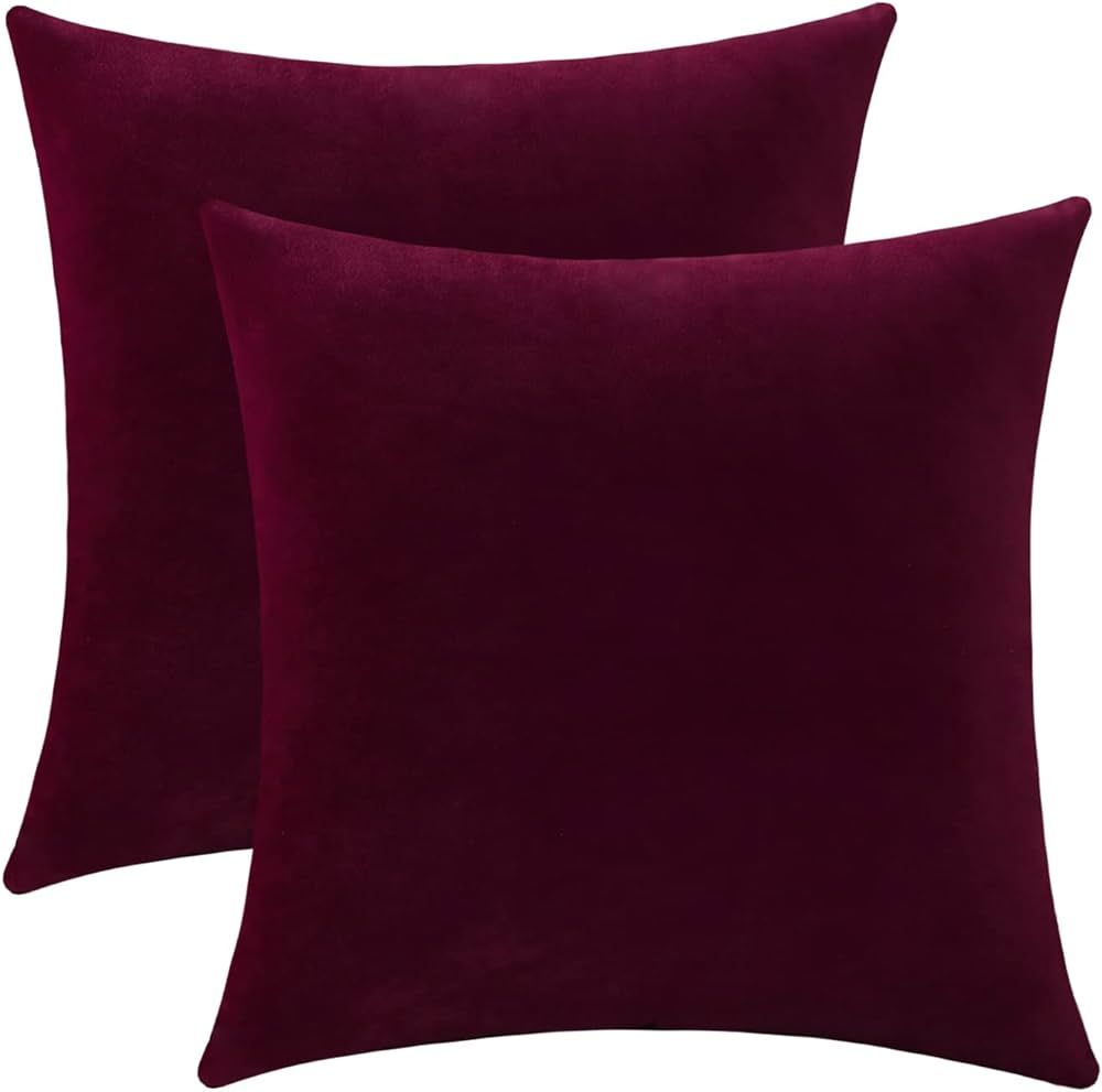 Jeneoo Set of 2 Comfy Soft Thick Velvet Throw Pillow Covers for Sofa Couch Decorative Solid Squar... | Amazon (US)